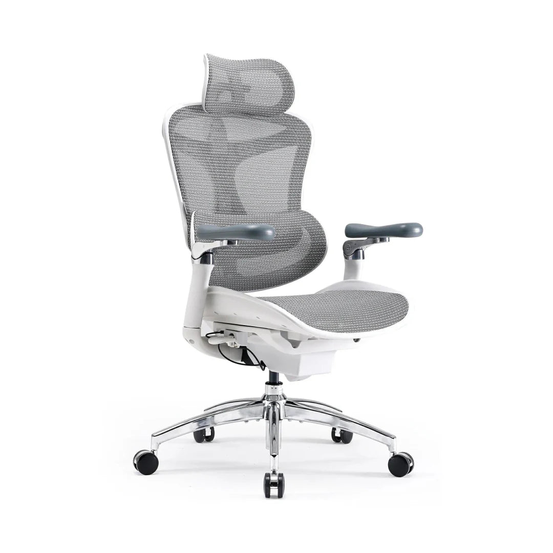 Sihoo C300 Pro Ergonomic Office Chair with Seat Depth for Long Sitting