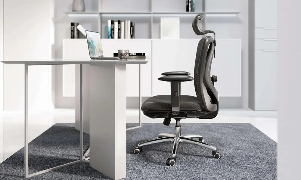 Sihoo M18 Review