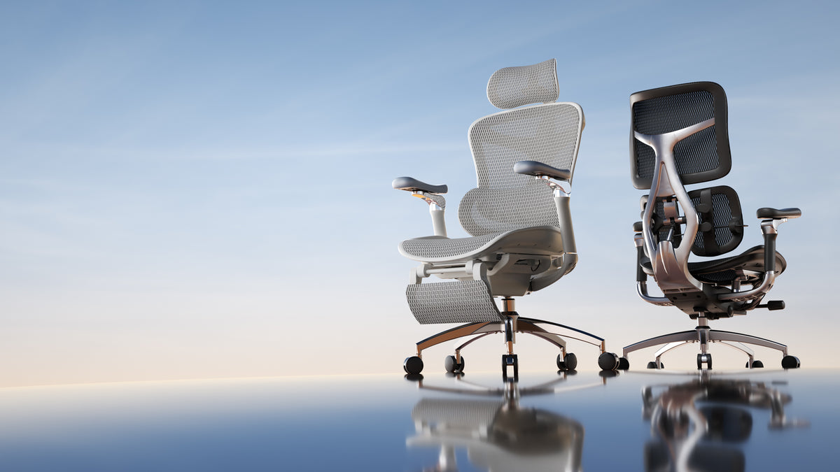 <p>What makes Sihoo Ergonomic Chairs so different?</p>