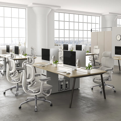 Sihoo Doro C300 Pro V2 Ergonomic Office Chair