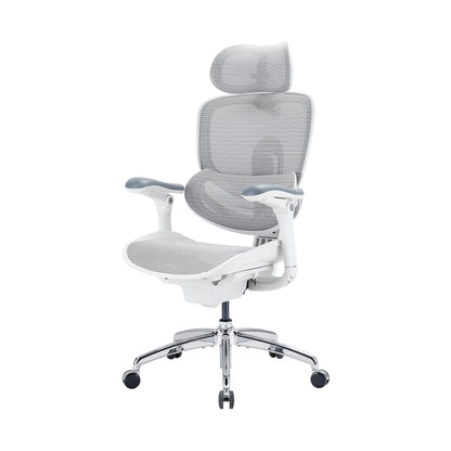Sihoo Doro C300 Pro V2 Ergonomic Office Chair