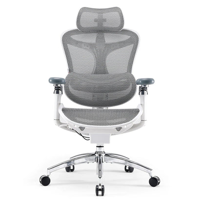 Sihoo Doro C300 Pro Ergonomic Chair - Official US Sihoo Store