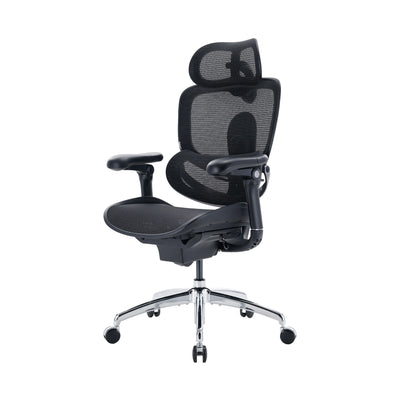 Sihoo Doro C300 Pro V2 Ergonomic Office Chair
