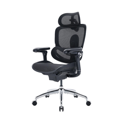 Sihoo Doro C300 Pro V2 Ergonomic Office Chair