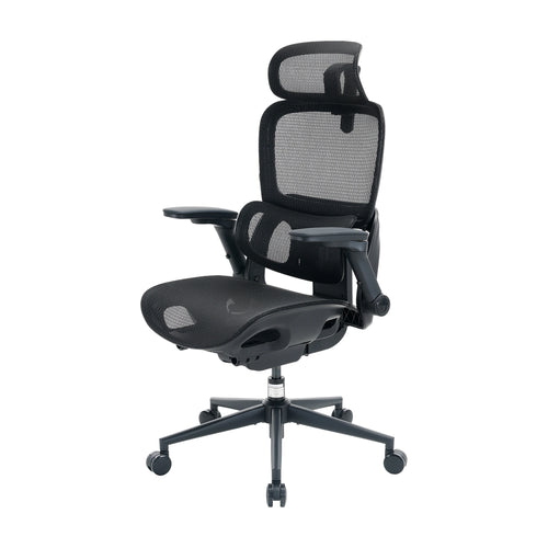 Sihoo B300 Pro Ergonomic Office Chair with 4D Lumbar Support