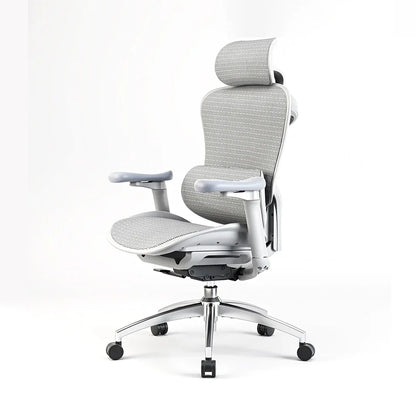 Sihoo C300 Ergonomic Office Chair with Advanced Back Support